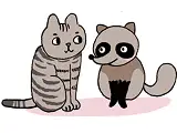 にゃんコラム：猫とタヌキはいっしょだった！ イメージ