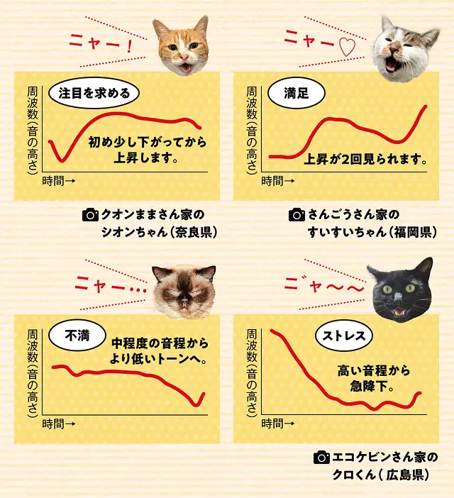 平安時代には猫が貴重なペットだったってホント？ イメージ2