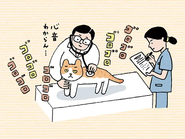 診察中にゴロゴロいいます。病院は嫌いなはずなのにどうして？ イメージ1