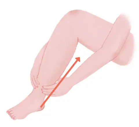 ふくらはぎ・太ももマッサージイメージ