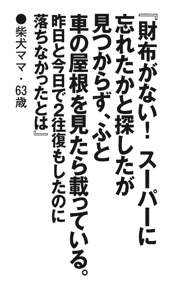 『財布がない！スーパーに忘れたかと探したが見つからず、ふと車の屋根を見たら載っている。昨日と今日で２往復もしたのに落ちなかったとは』柴犬ママ・63歳