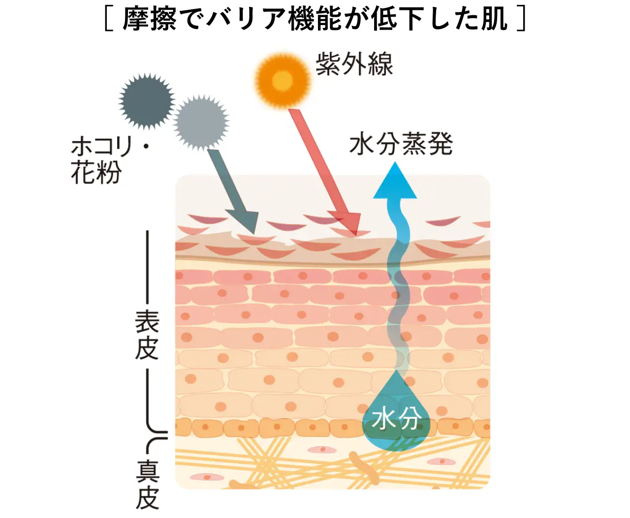 摩擦でバリア機能が低下した肌イメージ