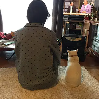 そっくりすぎるネコ　　木永朱実さん