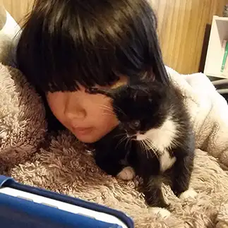 付き合いよすぎるネコ　　蟹さん
