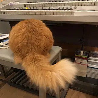 おたまじゃくしすぎるネコ　　レオンのママさん