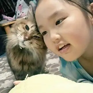 あわせといてやっか?感がすぎるネコ　　きららｍａｍａさん