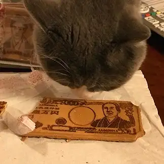 諭吉好きすぎるネコ　　ひーわんさん