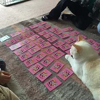 プレイヤーに徹しすぎるネコ　　ユキココさん