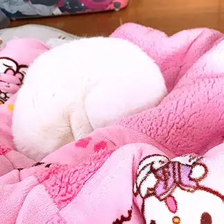 毛布と同化しすぎるネコ　　しぃたんさん