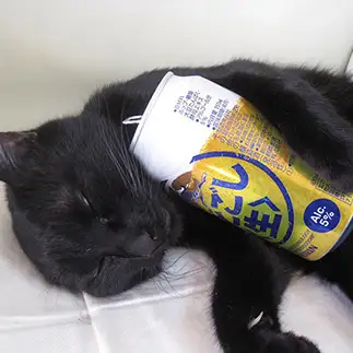 飲みすぎるネコ　　五條英俊さん