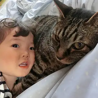 カメラ目線すぎるネコ　　あいにゃんさん