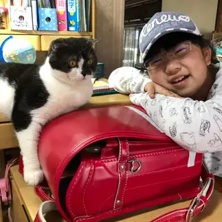 お姉ちゃんが好きすぎるネコ　　高橋こずえさん