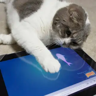 ゲーマーすぎるネコ　　こうさん
