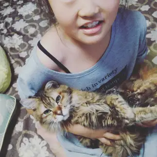 ぬいぐるみ扱い好きすぎるネコ　　きららmamaさん