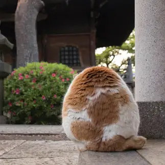 恐竜のたまごすぎるネコ　　サトウヒロキさん