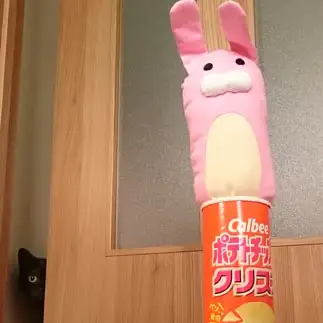 ぬいぐるみ警戒しすぎるネコ　　松浦綾子さん