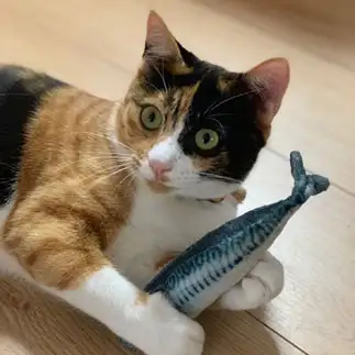 魚大好きすぎるネコ　　山﨑百合子さん