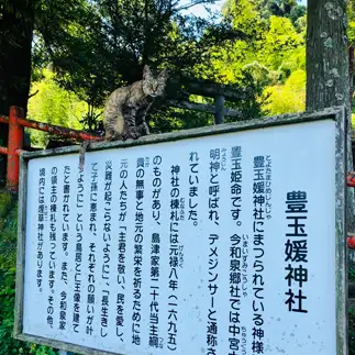 門番すぎるネコ　　dokin ayuさん