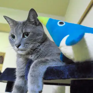 ペンギンからささやかれすぎるネコ　　ゆずなつさん