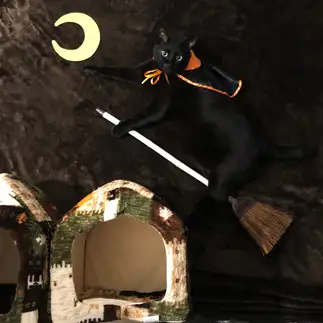 絵本の一部すぎるネコ　　月夜のライオンさん