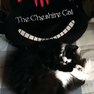 チシャ猫の胴体になりすぎるネコ　　ばろん亭さん