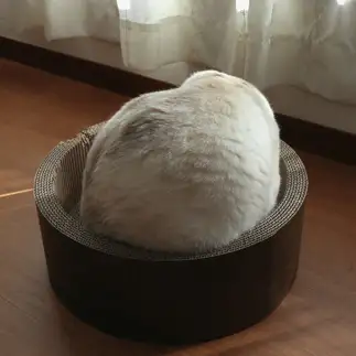餅つきのもちすぎるネコ　　モコネコさん