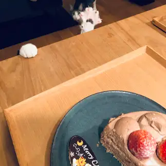 ケーキが食べたすぎるネコ　　りんごパンさん