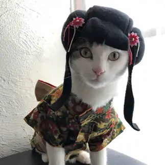 ヒトすぎるネコ　　いぶくちんさん