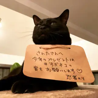 涙目で願いすぎるネコ　　月夜のライオンさん