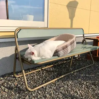 日向ぼっこでトロけすぎるネコ　　okobukuroさん