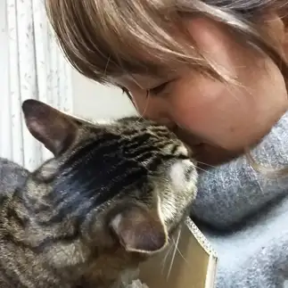 バレンタインすぎるネコ　　ももたろうさん