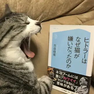 退屈すぎるネコ　　masukiyoさん
