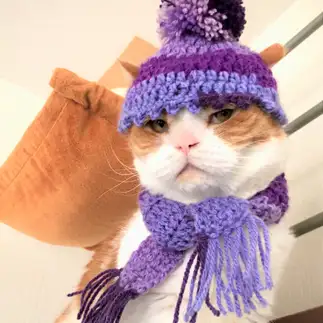 ふてくされすぎるネコ　　tachiさん