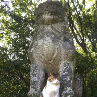 狛犬に守られて安心しすぎるネコ　　t.takaharuさん