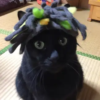 ドレッドヘアが似合いすぎるネコ　　カーボンさん