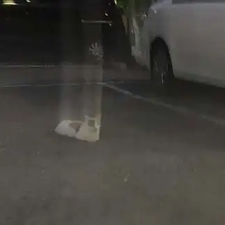 UFOに連れていかれすぎるネコ　　からくりぴーちさん