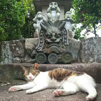 鬼と猿に見守られて安心しすぎるネコ　　t.takaharuさん