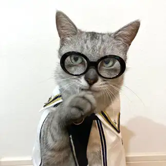 眼鏡が似合いすぎるネコ　　ミロルナのママさん