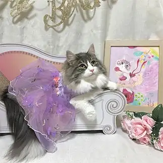 ラプンツェルすぎるネコ　　icoさん