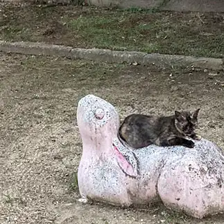 うさぎを悶絶させすぎるネコ　　からくりぴーちさん