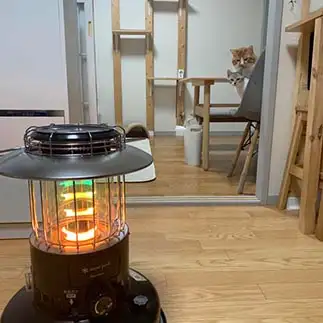 興味ありありすぎるネコ　　ルーママさん
