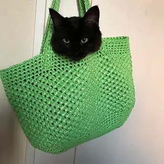 バッグチャームすぎるネコ　　あざとすぎるネコさん