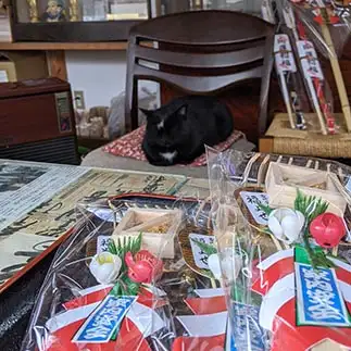 店番頑張りすぎるネコ　　林いつこさん