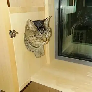 顔出してみたけどやっぱり眠すぎるネコ　　キャットそばつゆさん