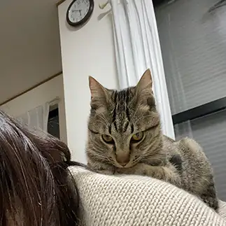 独り占め欲が強すぎるネコ　　ゆずままさん