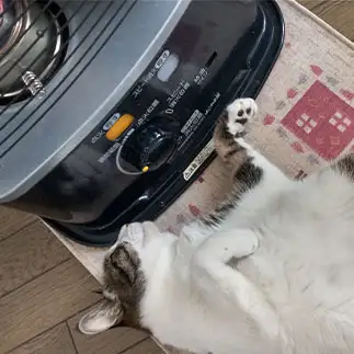 ストーブに顔、近すぎるネコ　　ムートーままさん