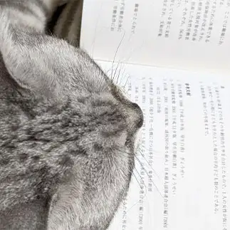 勉強しすぎるネコ　　林いつこさん