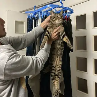 洗濯物すぎるネコ　　シンバさん