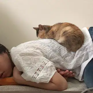 Sleeping togetherすぎるネコ　　簡菱瑤(from Taiwan)さん