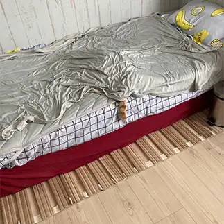 かくれんぼが下手すぎるネコ　　banmamiさん